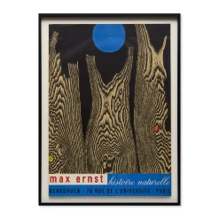 Max Ernst Histoire Naturelle Framed Poster