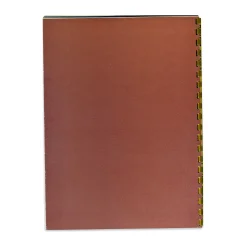 Modern Masters from European and American Collections - Hardcover