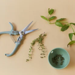 Modern Sprout Pruning Shears
