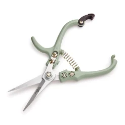 Modern Sprout Pruning Shears