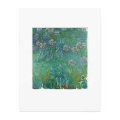 Monet: Agapanthus Print