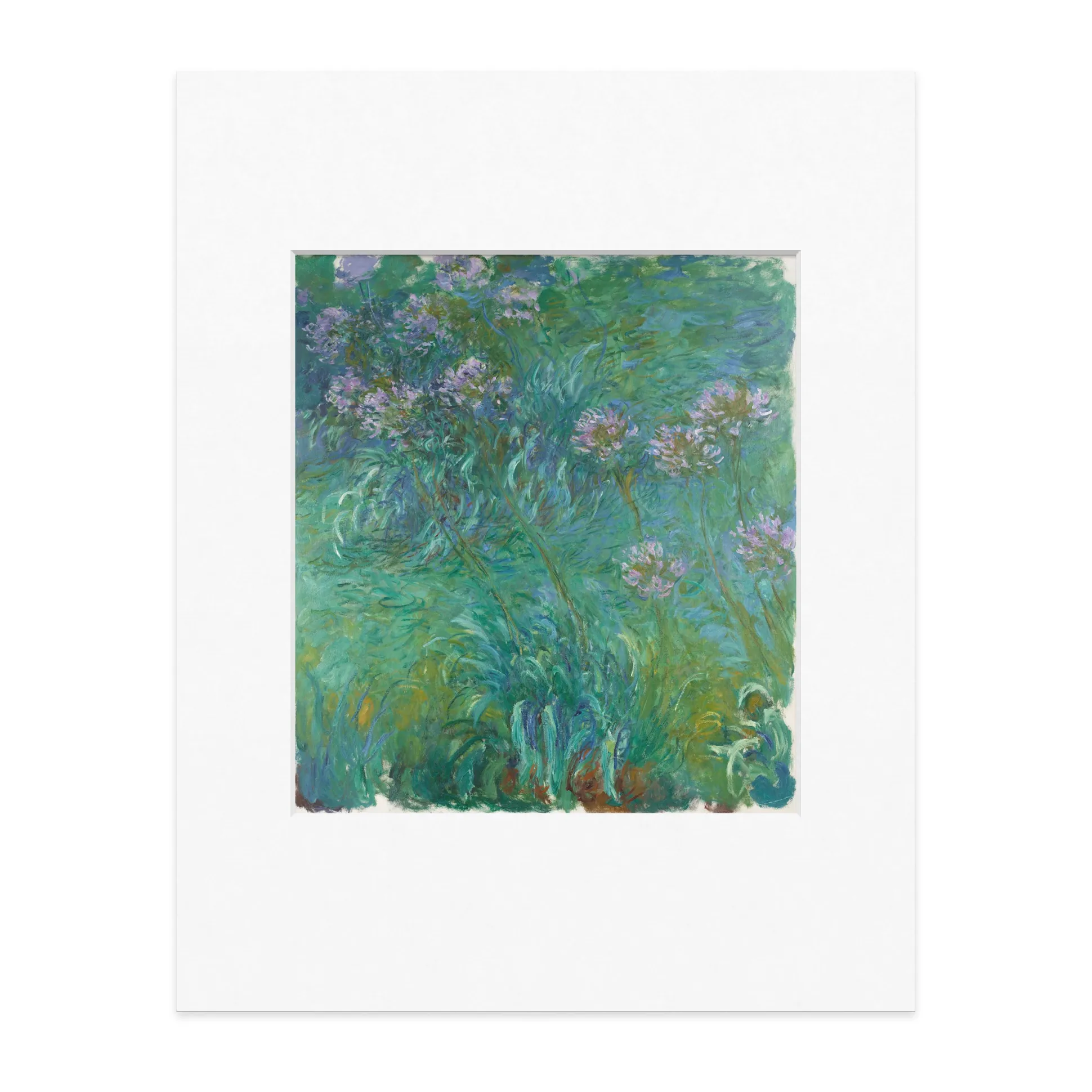 Monet: Agapanthus Print