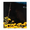 Mystery Street, Photographs by Vasantha Yogananthan - Hardcover