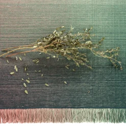 Nanimarquina Shade Rug