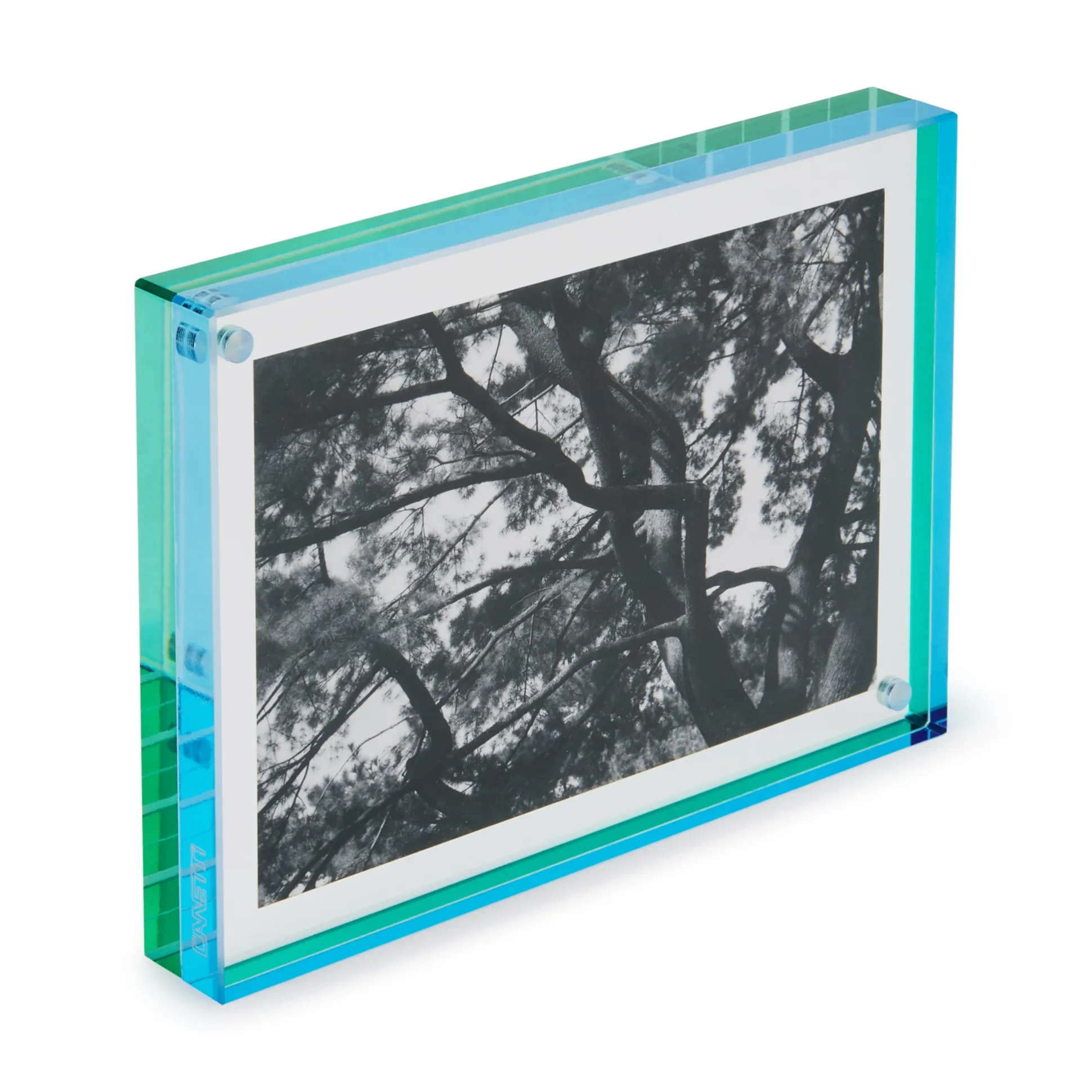 Nicolai Canetti Dual-Color Magnetic Picture Frame