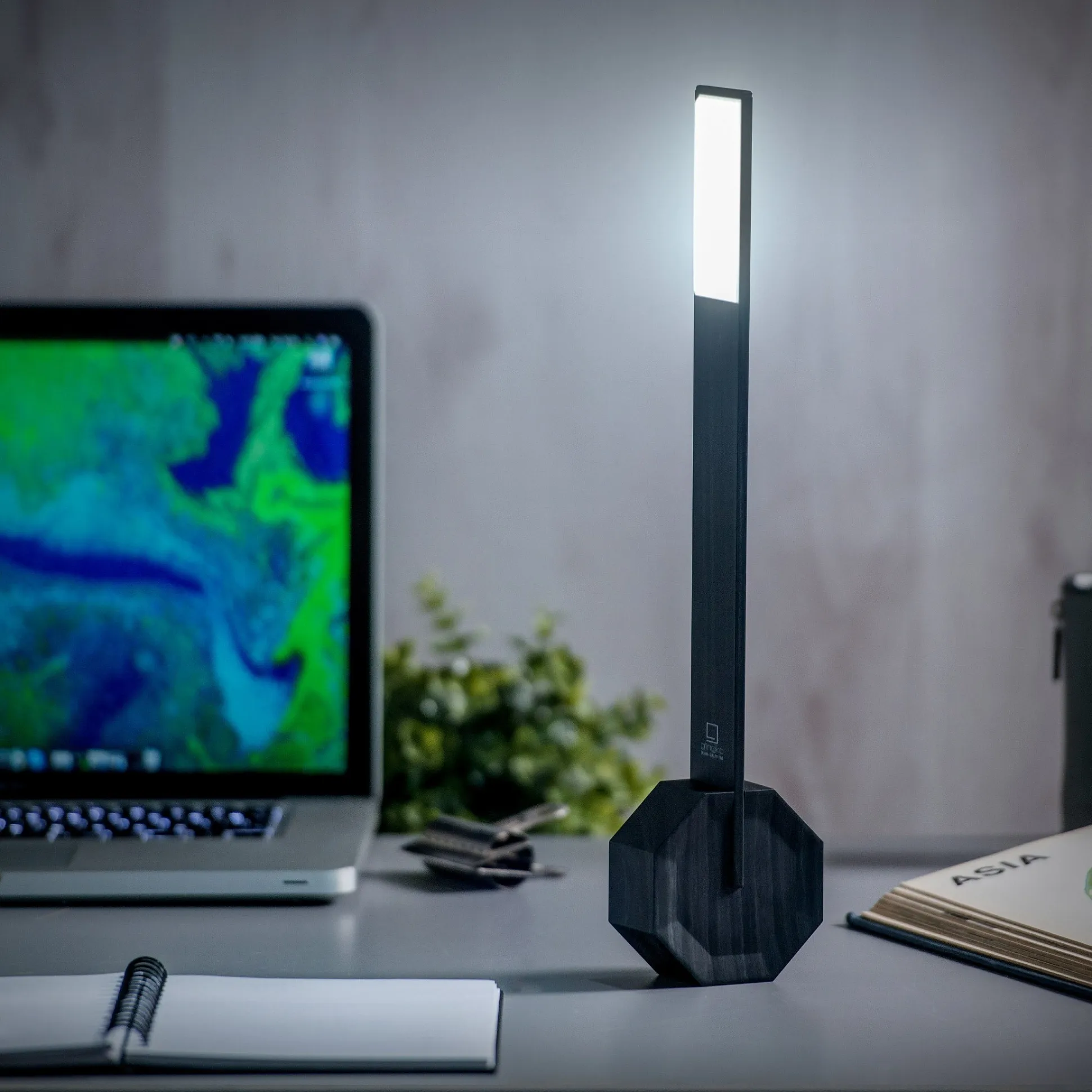 Octagon Portable Desk Light