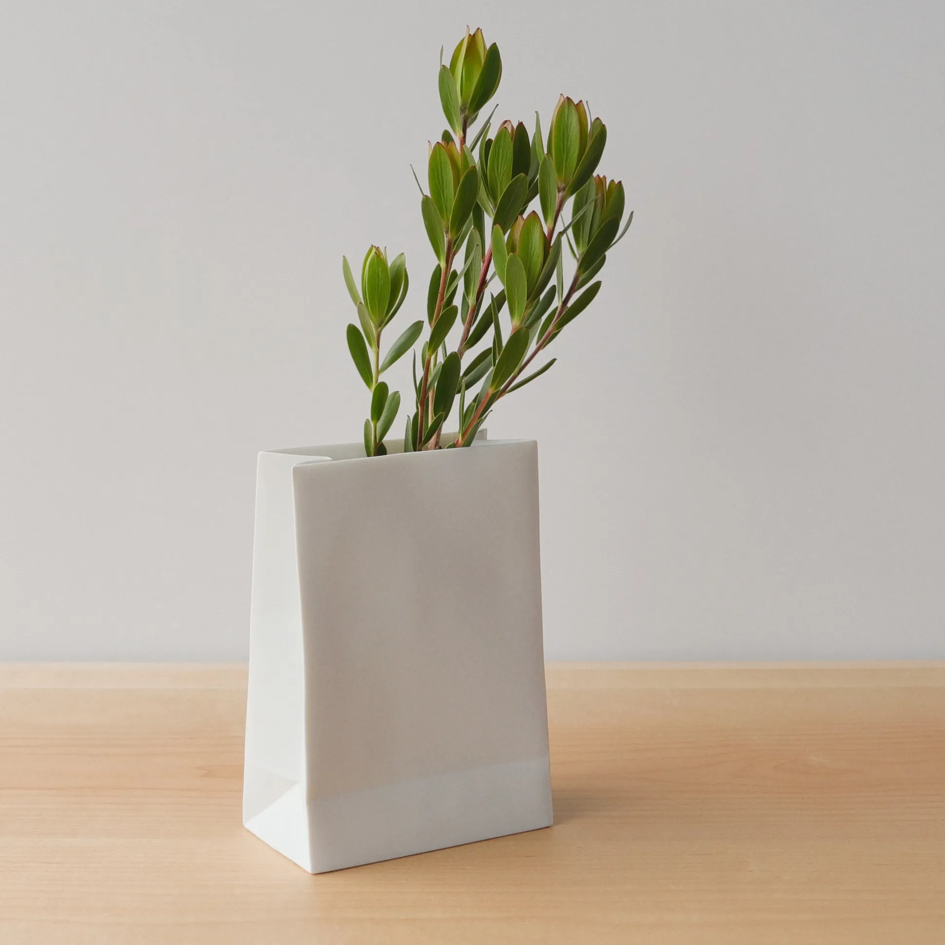 Paper Bag Porcelain Vase