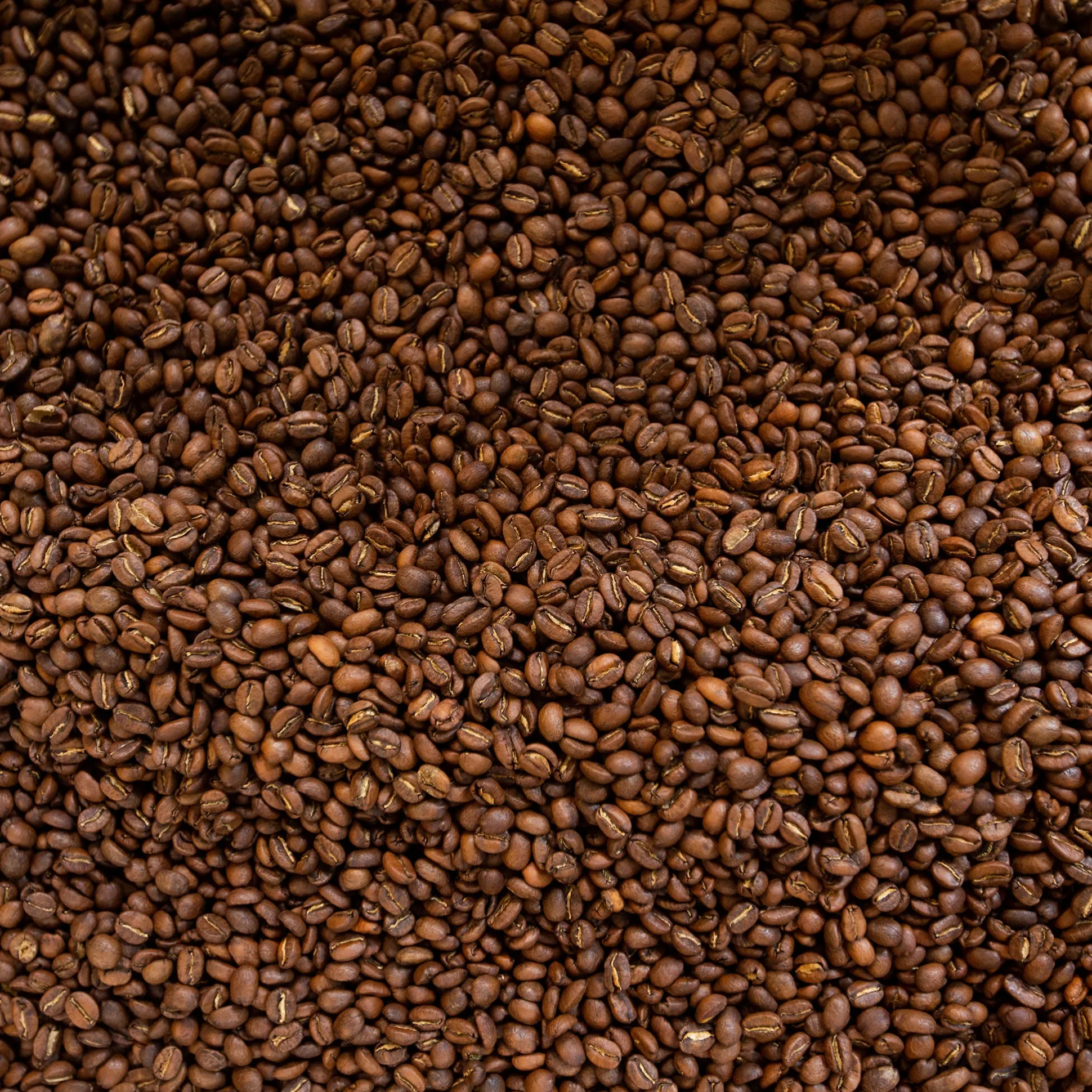 Partners Whole Bean Coffee - Brooklyn