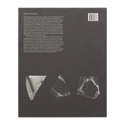 Paul Sietsema: Figure 3 - Paperback