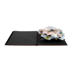 Peter Coffin: Untitled (Spiral Pop-Up Photo Album)