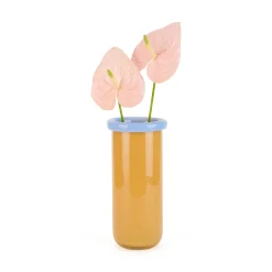Plegado Glass Vase