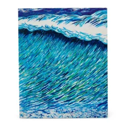 Point Break: Raymond Pettibon, Surfers and Waves - Hardcover