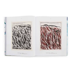 Point Break: Raymond Pettibon, Surfers and Waves - Hardcover