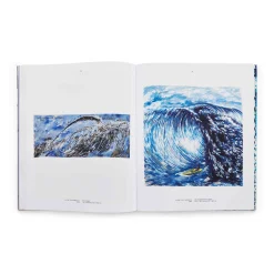 Point Break: Raymond Pettibon, Surfers and Waves - Hardcover