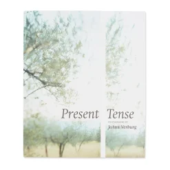 Present Tense: Photographs by JoAnn Verburg - Hardcover