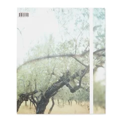 Present Tense: Photographs by JoAnn Verburg - Hardcover