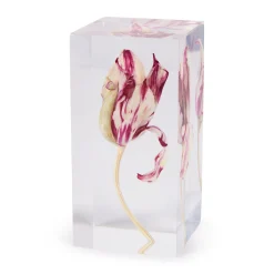 Rare Tulip Objet d’Art