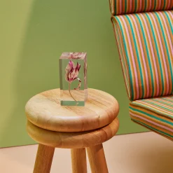 Rare Tulip Objet d’Art