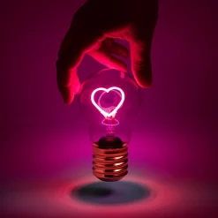 Rechargeable Bulb Light