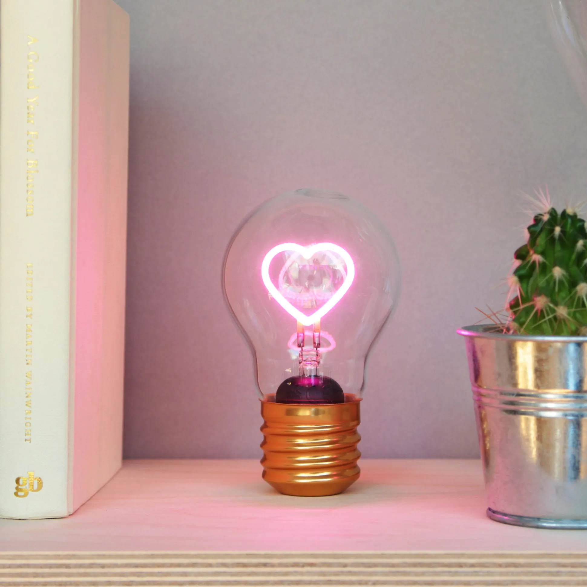 Rechargeable Bulb Light