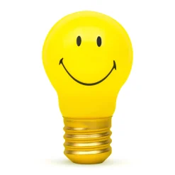Rechargeable Bulb Light