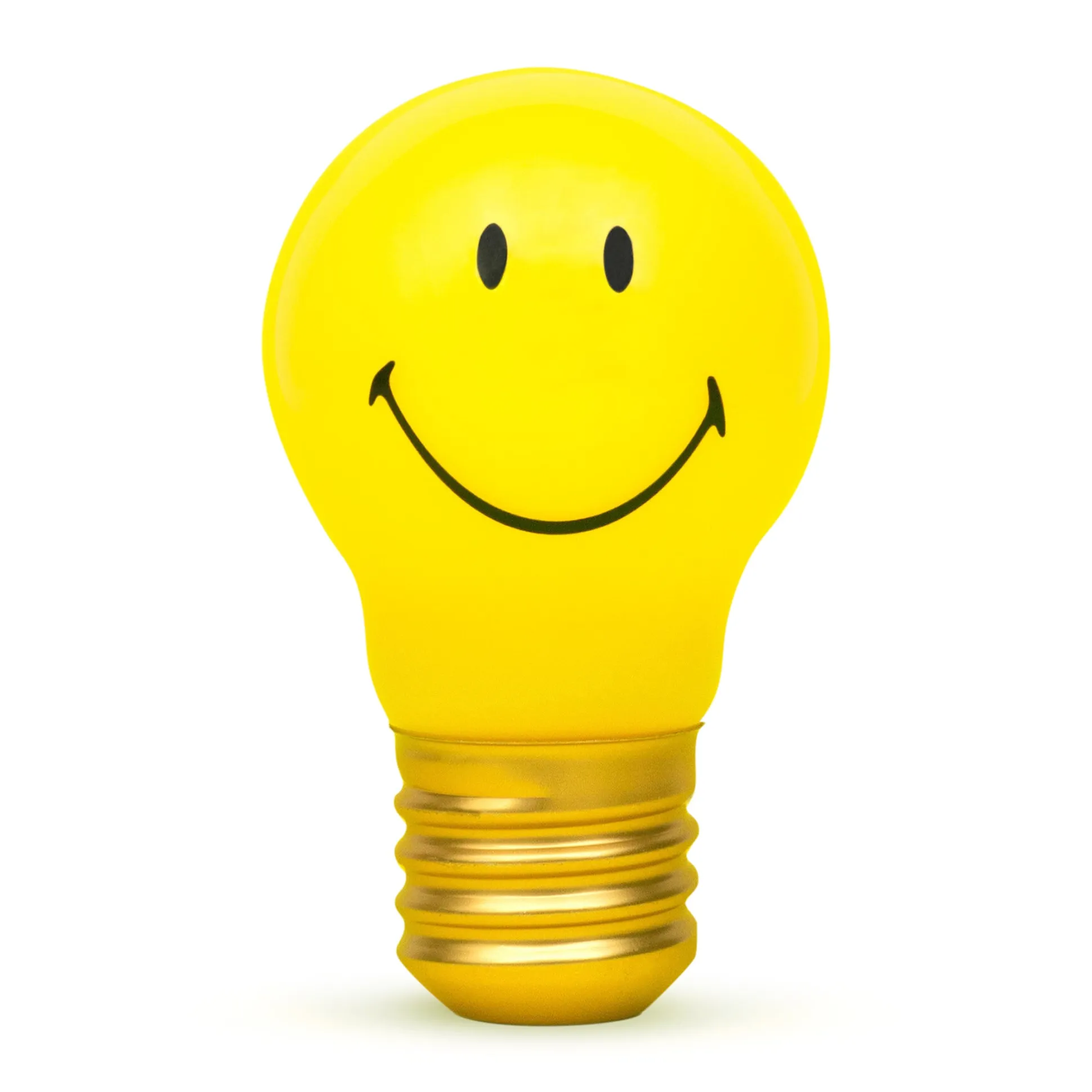 Rechargeable Bulb Light