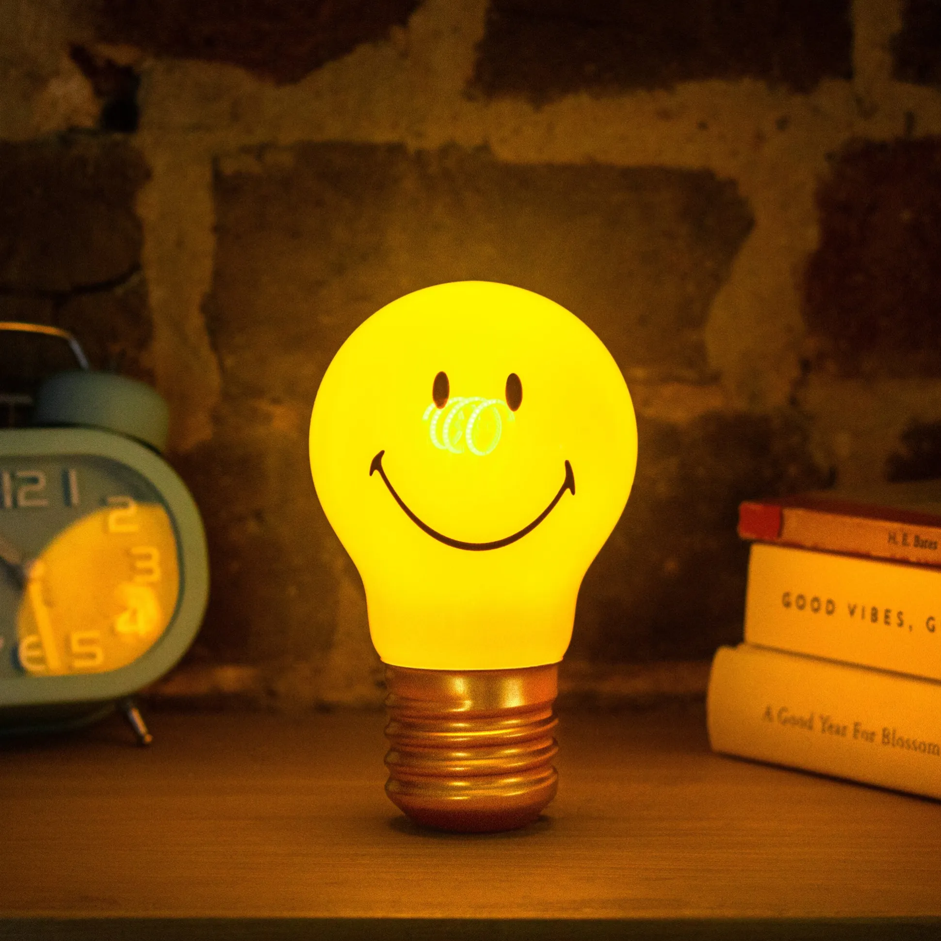 Rechargeable Bulb Light