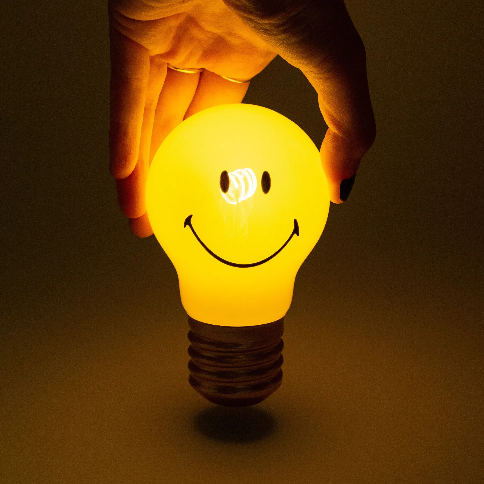 Rechargeable Bulb Light