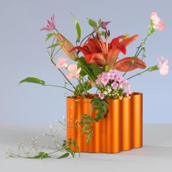 Ron and Erwan Bouroullec Nuage Vase by Vitra