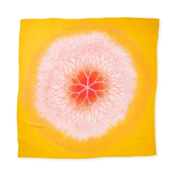 Ruth Asawa Desert Plant Silk Scarf