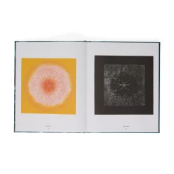Ruth Asawa: The Tamarind Prints - Hardcover