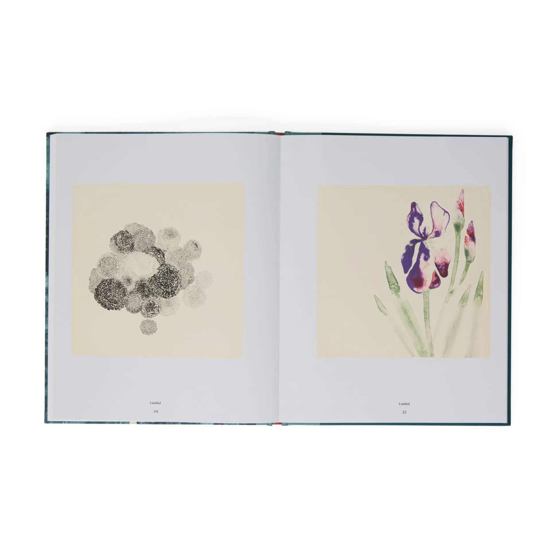 Ruth Asawa: The Tamarind Prints - Hardcover