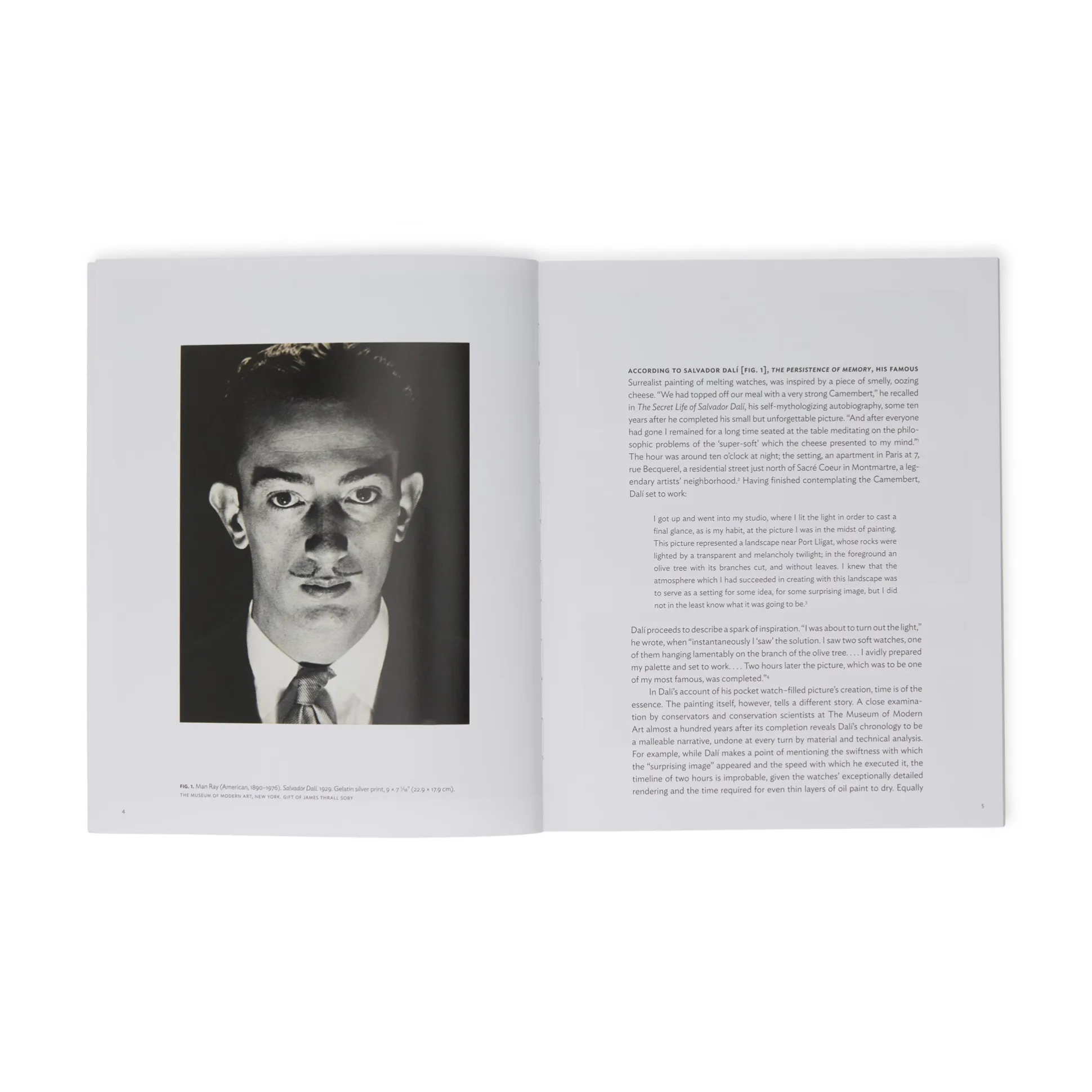 Salvador Dalí: The Persistence of Memory (MoMA One on One Series) - Paperback Book