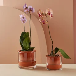 Self-Watering Wet Pots - Medium