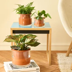 Self-Watering Wet Pots - Small