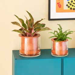 Self-Watering Wet Pots - Small