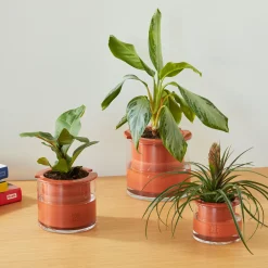 Self-Watering Wet Pots - Small