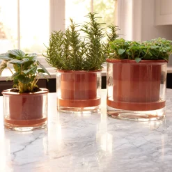 Self-Watering Wet Pots - Small