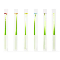 Single Flower Pen