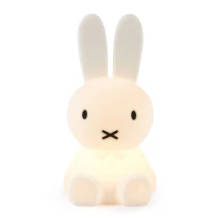 Small Night Light - Miffy, Boris, Lion