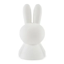 Small Night Light - Miffy, Boris, Lion