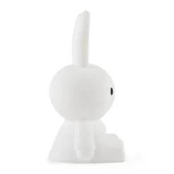 Small Night Light - Miffy, Boris, Lion