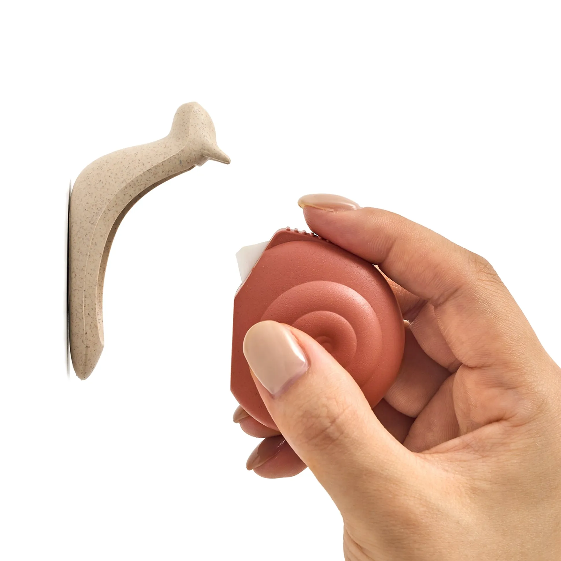 Snail Box Cutter
