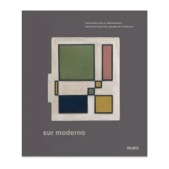 Sur moderno: Recorridos de la abstracción—Donación Patricia Phelps de Cisneros (Spanish) - Hardcover
