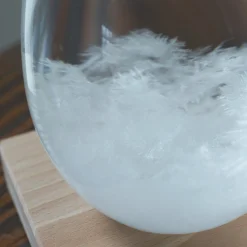 Tempo Drop Storm Glass Weather Forecaster