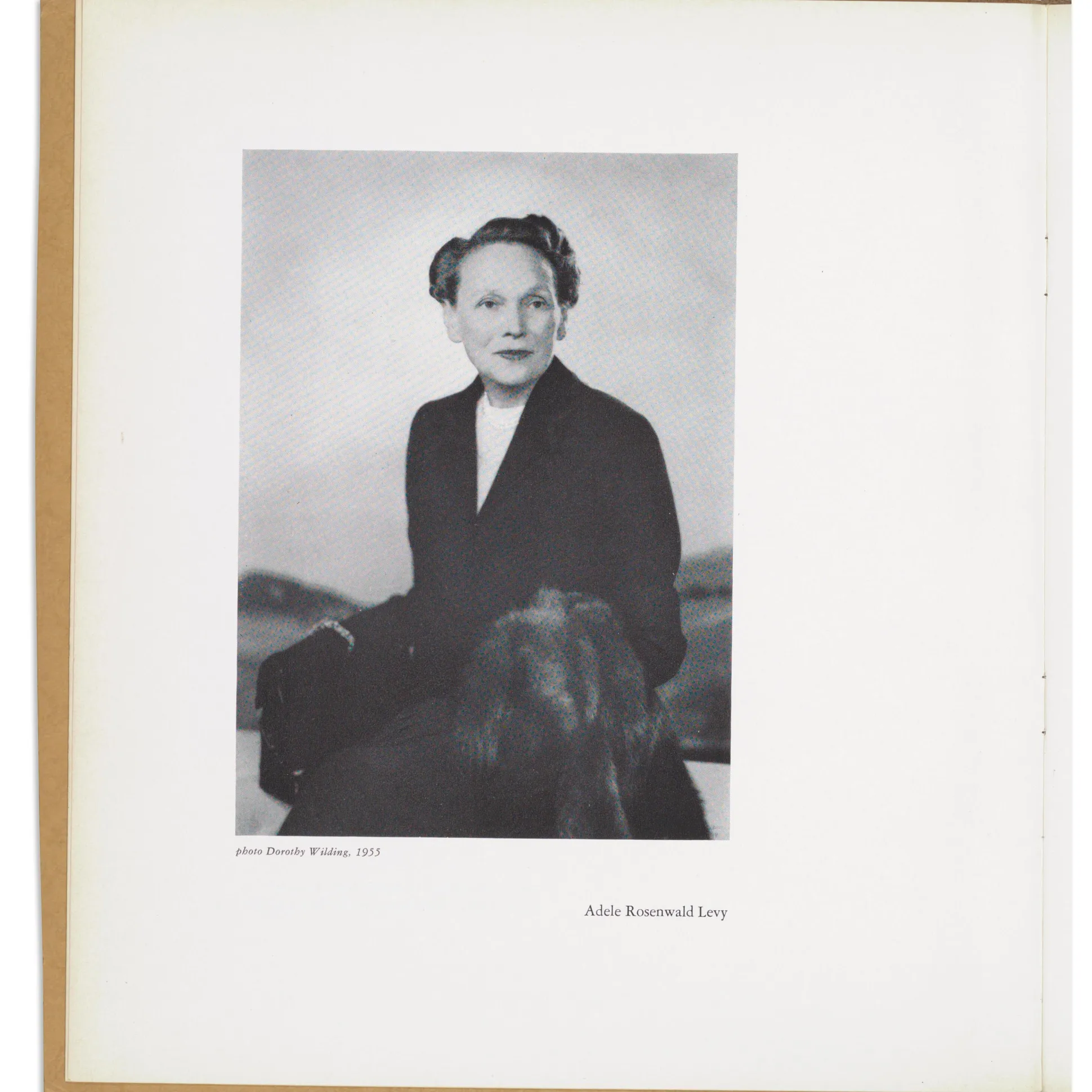 The Mrs. Adele R. Levy Collection: A Memorial Exhibition - Paperback