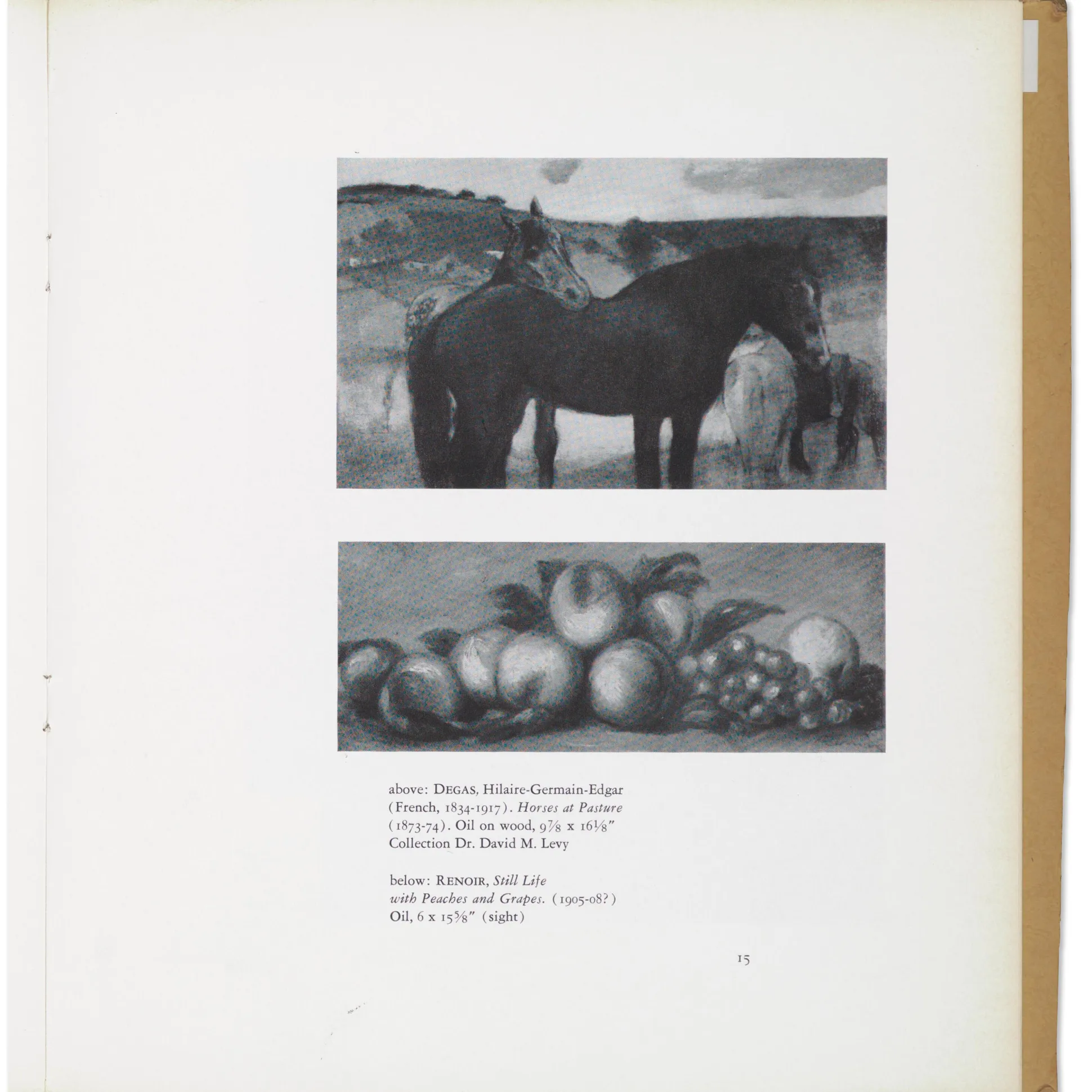 The Mrs. Adele R. Levy Collection: A Memorial Exhibition - Paperback