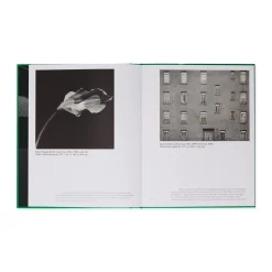 Time Travelers: Photographs from the Gayle Greenhill Collection - Hardcover