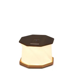 Twist Hexagon Portable Table Lamp
