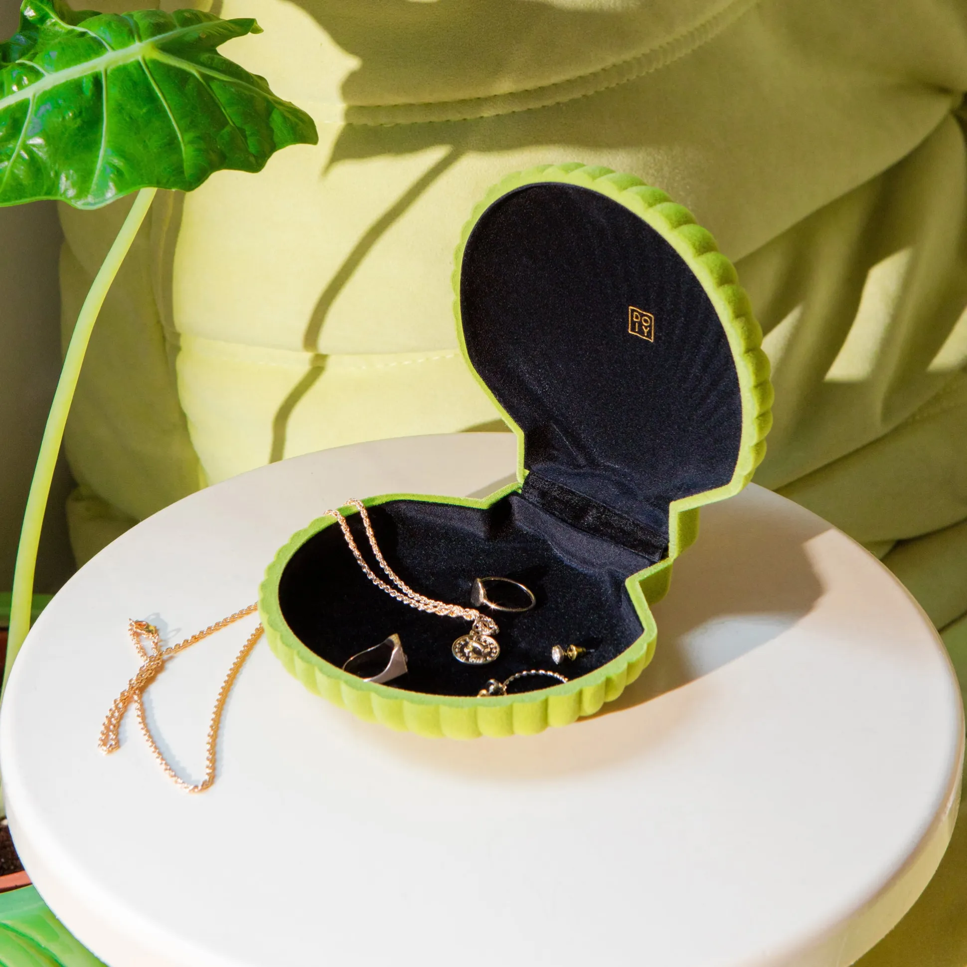 Venus Velvet Seashell Jewelry Box